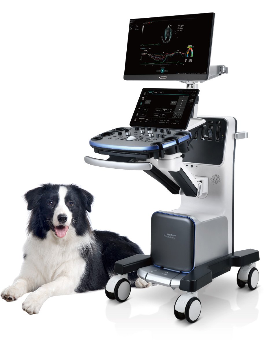 KIT de Ultrasonido Veterinario para Equinos. Incluye Ultrasonido Portátil, Maleta de Transporte, Batería Adicional U-bank + Transductor Lineal (L13-3NSV). MINDRAY ANIMAL CARE.