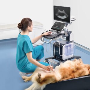 Hardware para Ultrasonido VETUS50: Modulo de ECG (cable Anfitrion Cable de ECG de 6 Pines y 3 Derivaciones Clips Veterinarios)