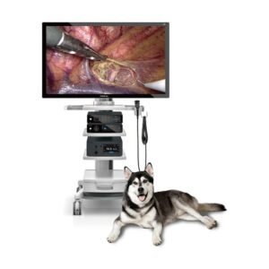 Sistema de imagen para endoscopia veterinaria